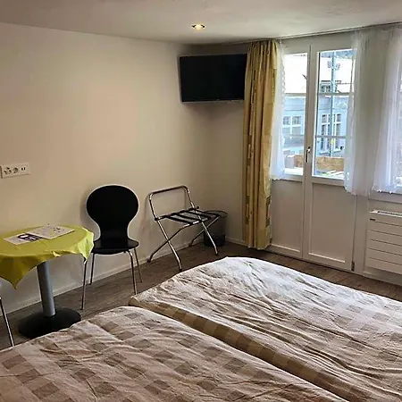 Otel Steinbock 2*