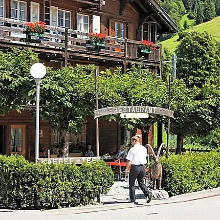 Steinbock 2*