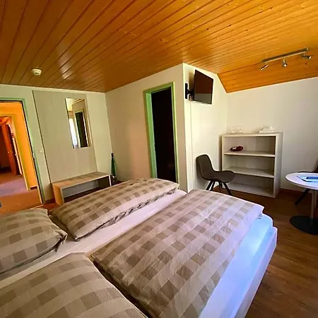 Otel Steinbock