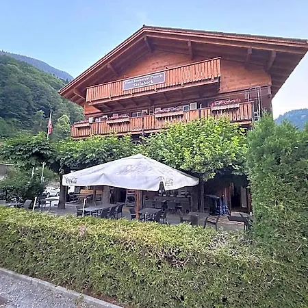 Otel Steinbock 2*